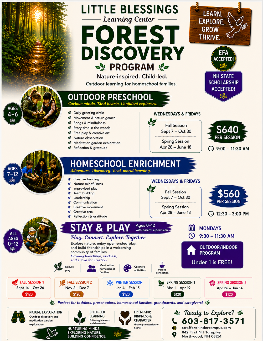 Little Explorers Forest Discovery Program information flyer
